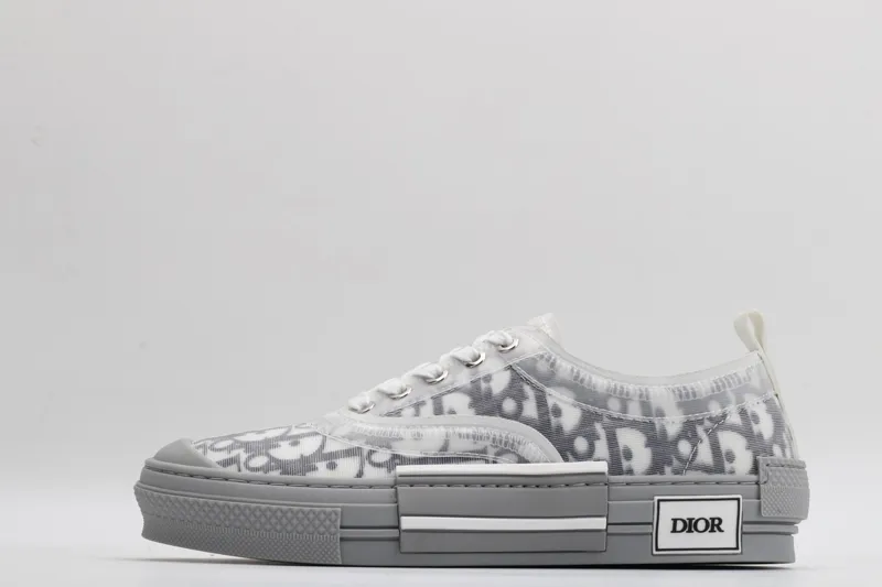 Dior sneaker