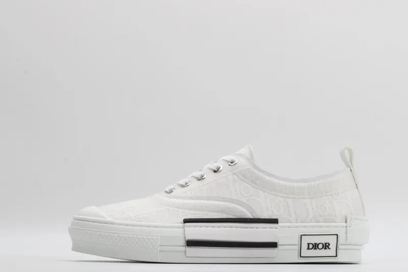 Dior sneaker